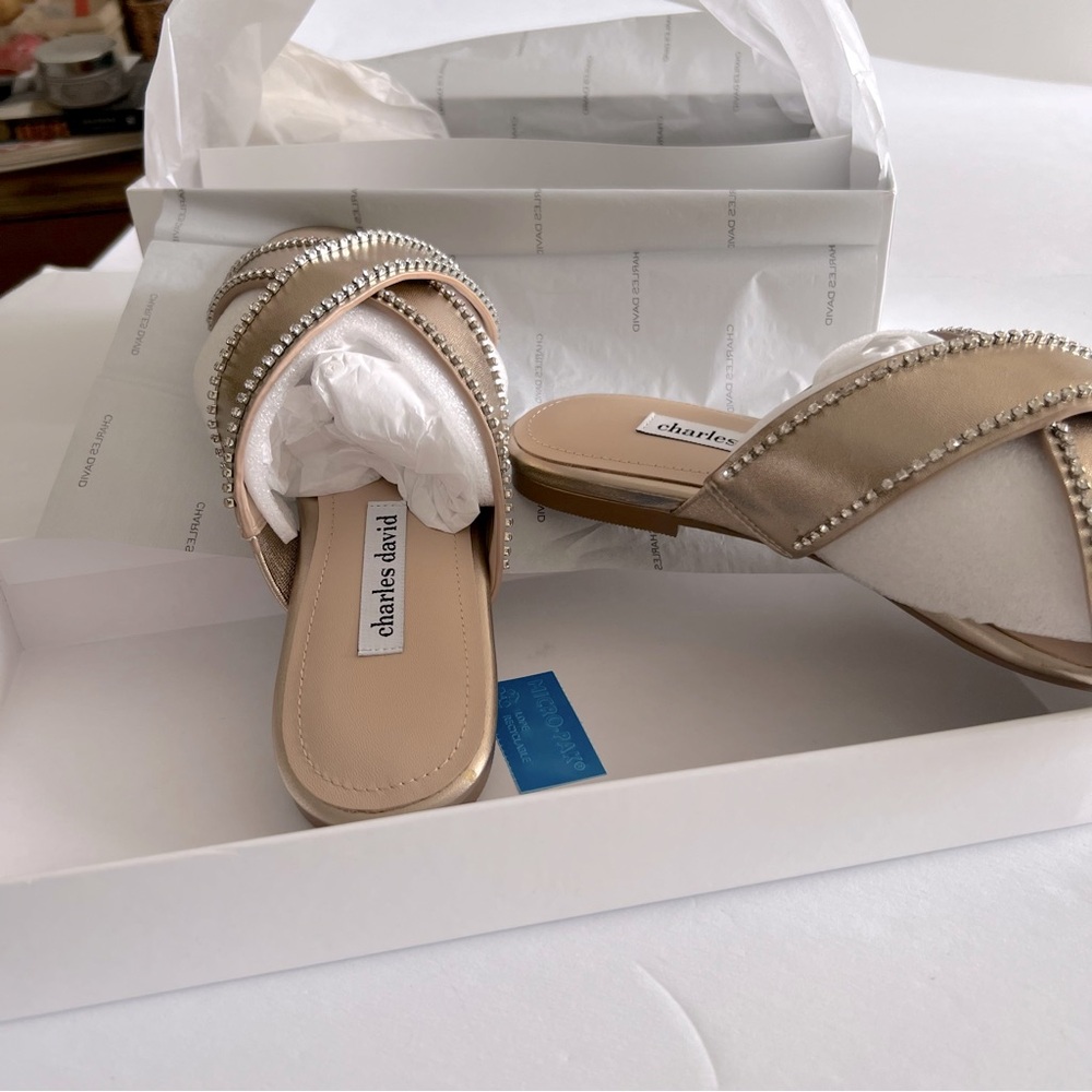 CHARLES DAVID KENYA EMBELLISHED METALLIC LEATHER FLAT SANDALS SIZE 9 NEW IN BOX - Picture 2 of 12